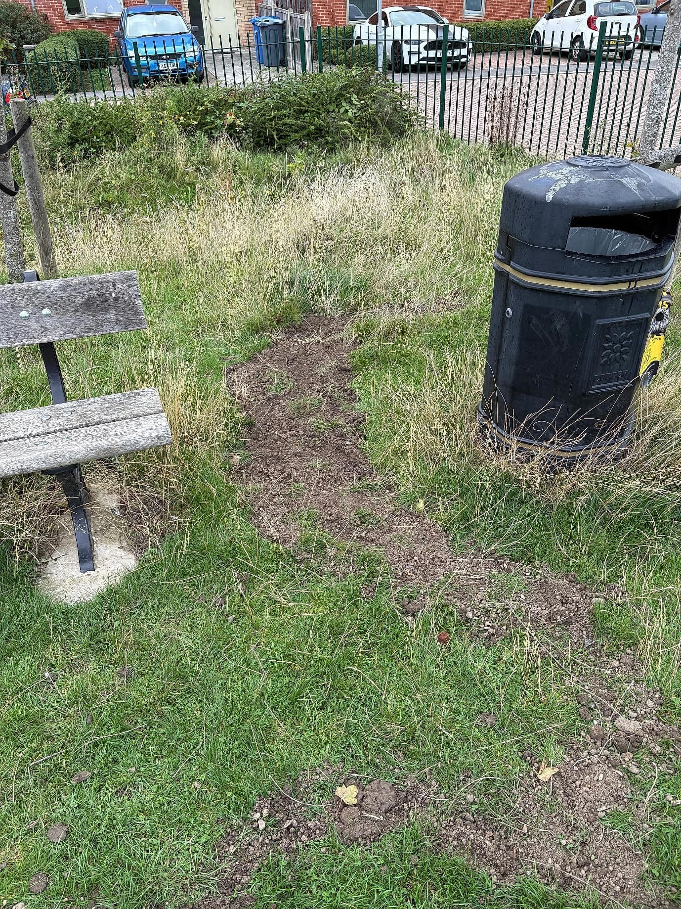 A bench and bin beside the woodland path in the park