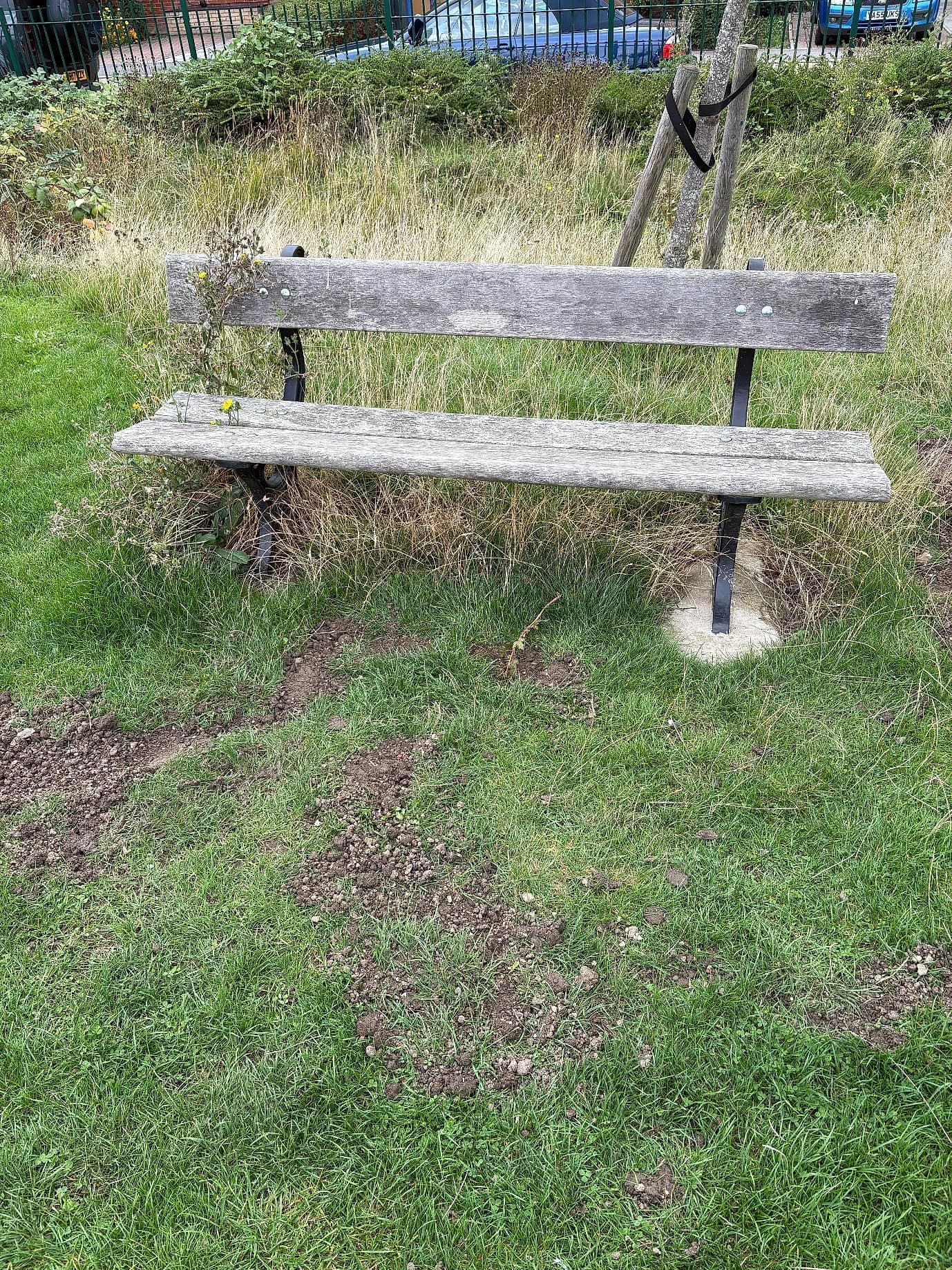 A wooden bench on the green