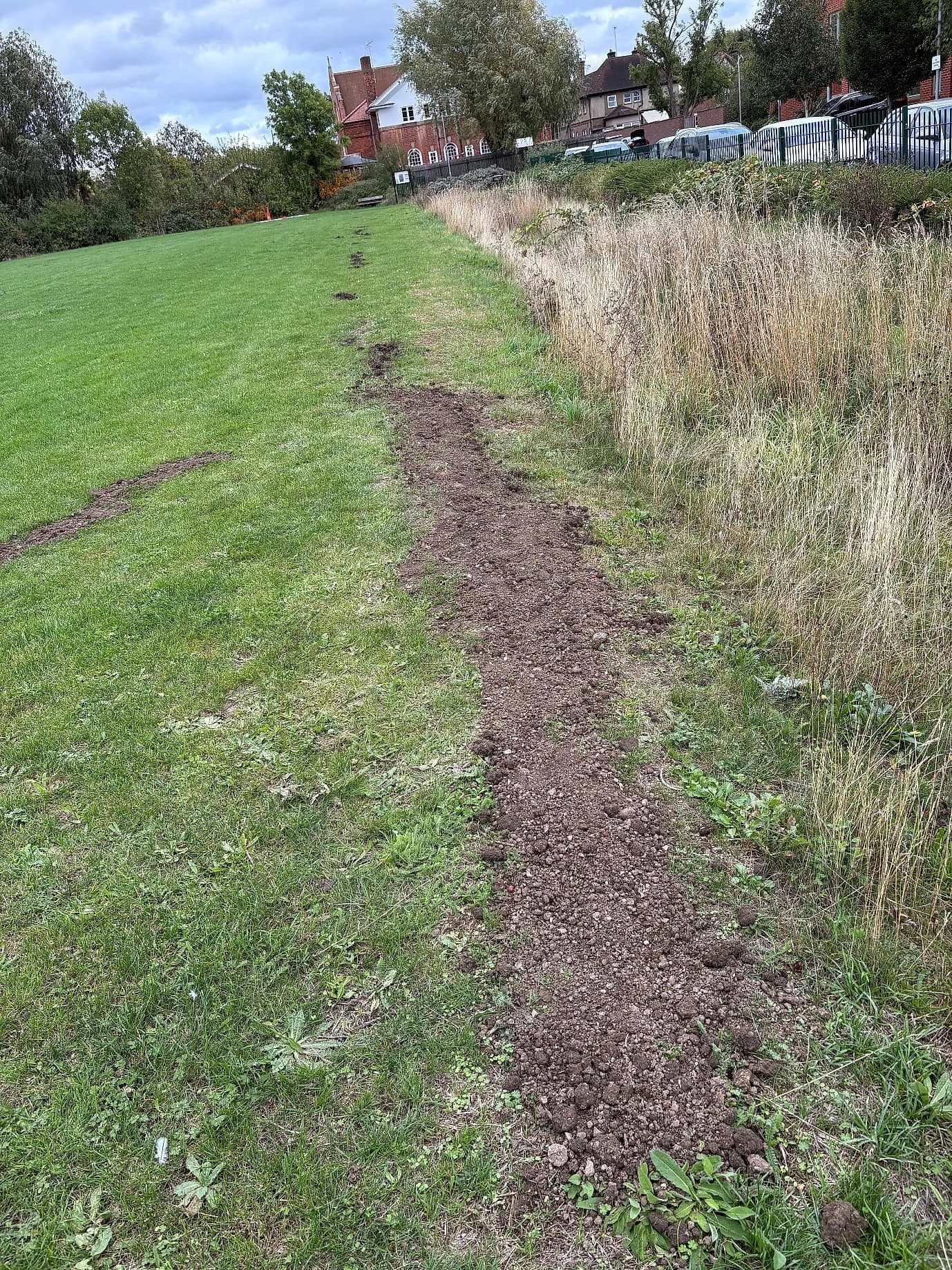 A worn path through the park grass