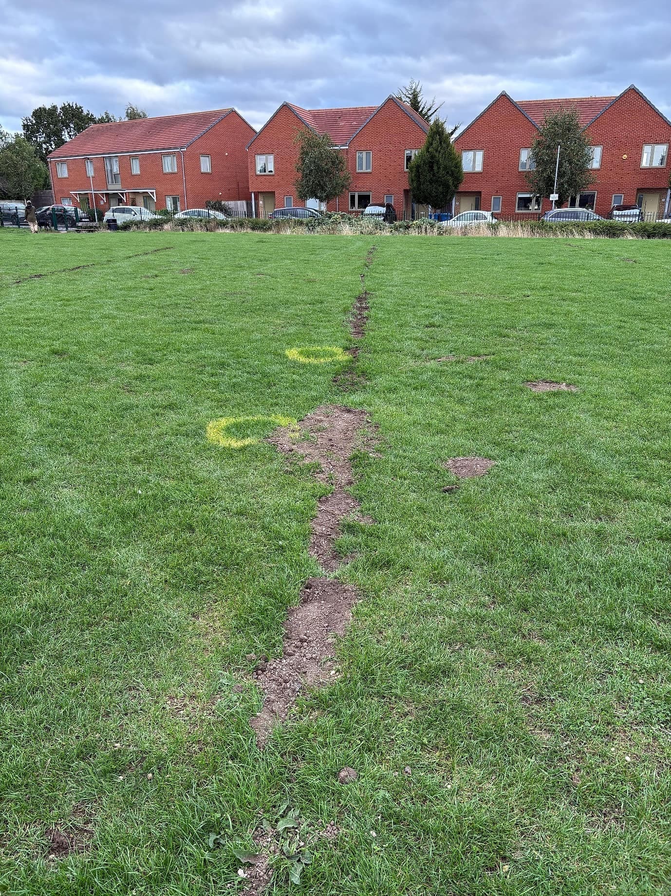 Tracks across the green near the homes