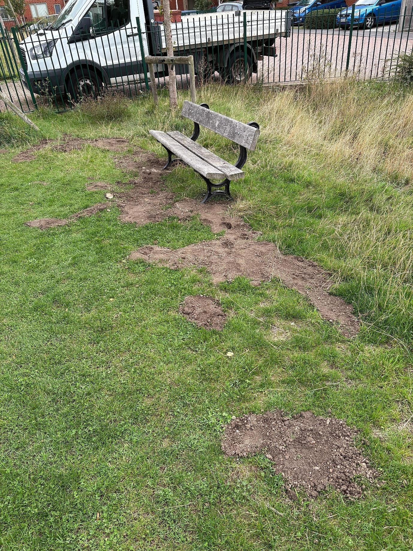 A bench among the long grass at the edge of the green